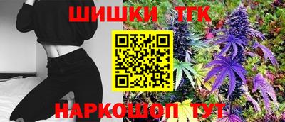 соль ск Будённовск