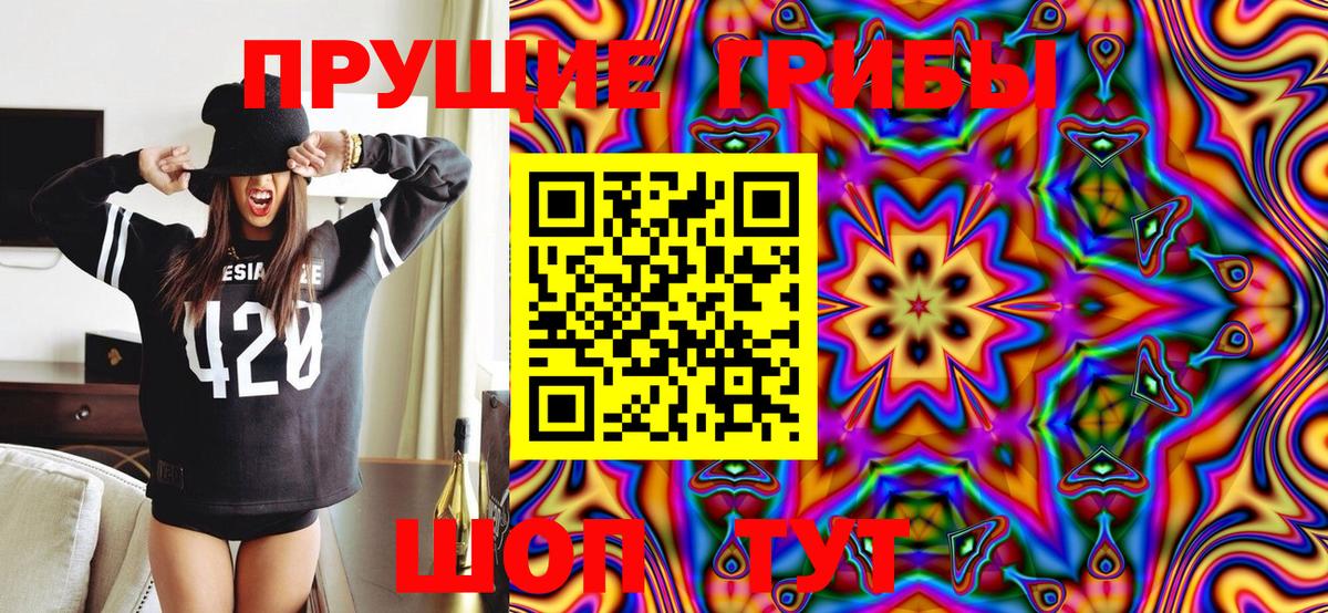 Сызрань  Галлюциногенные грибы Psilocybe  Галлюциногенные грибы Cubensis  Вход с VPN 